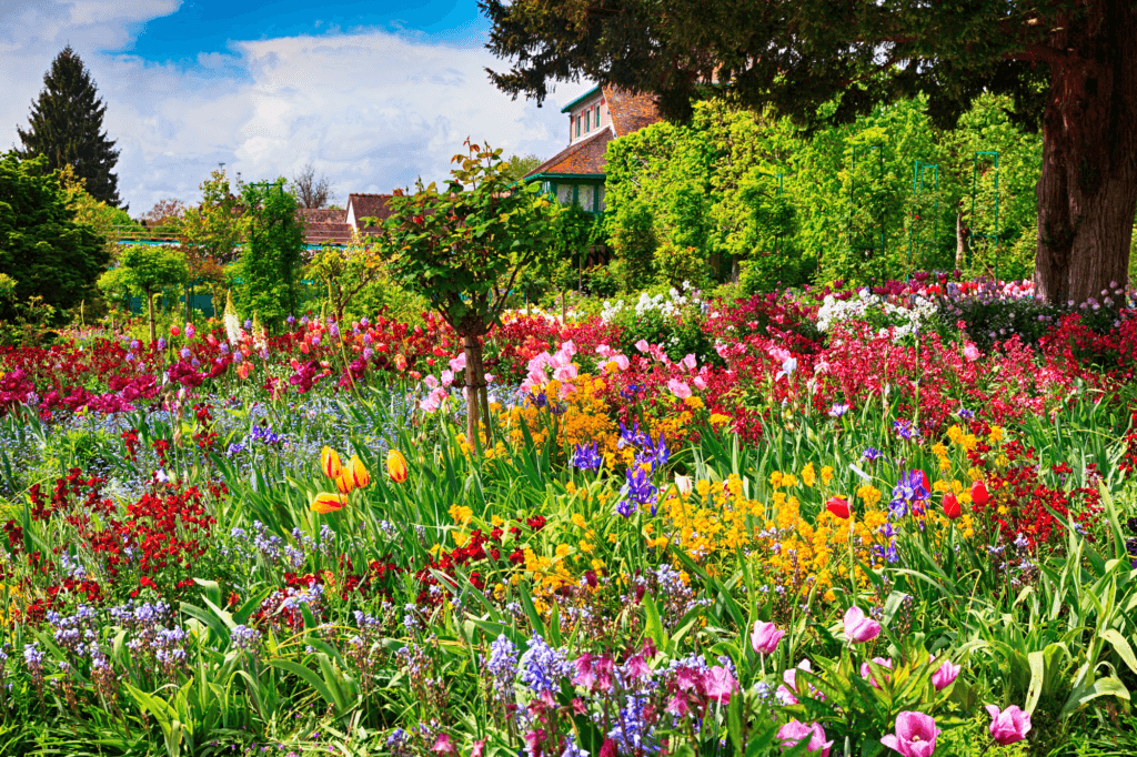 flower garden in Giverny