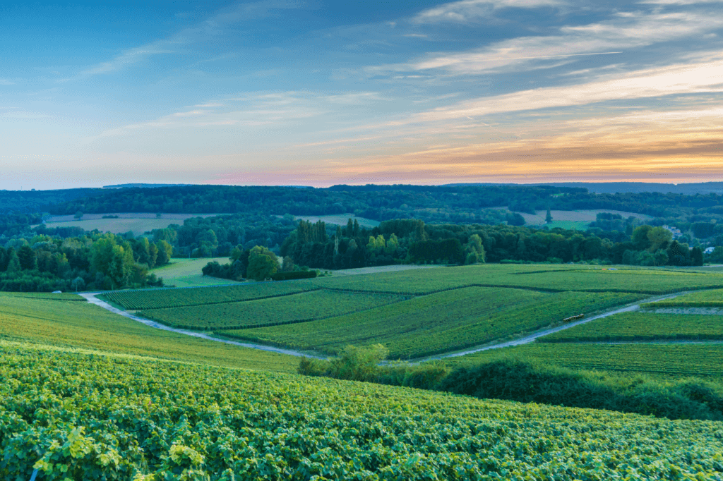 Reims, Champagne Region, France