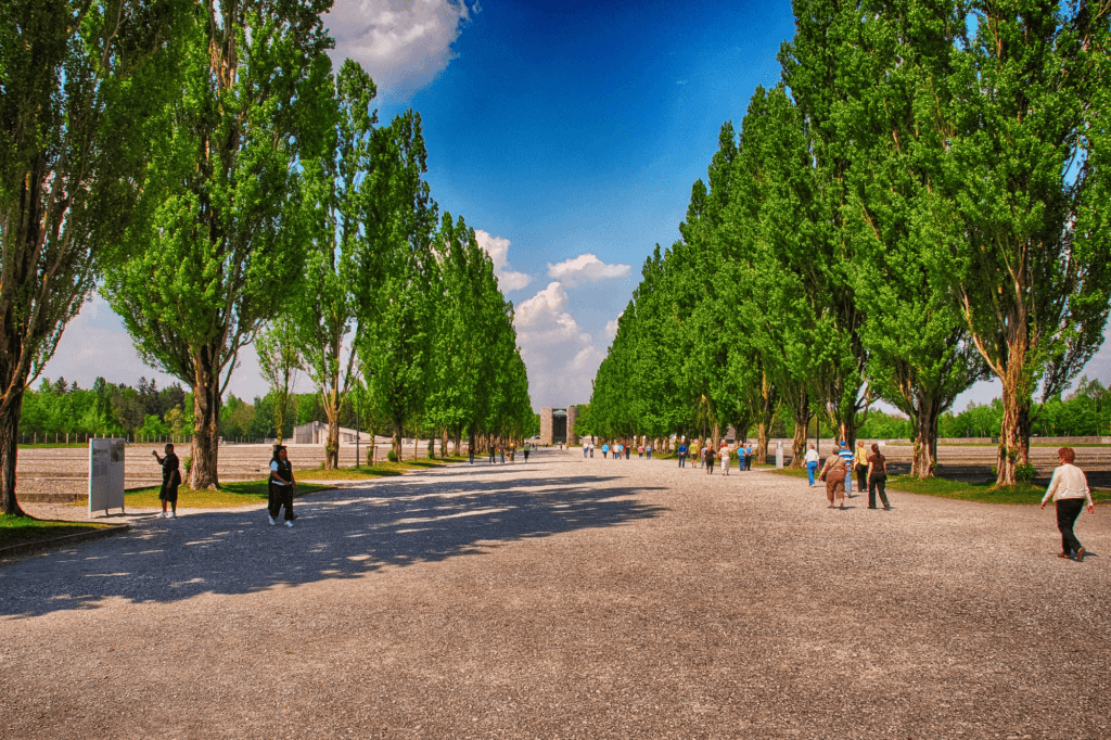 tree lined paths of the Dachau Concentration Camp