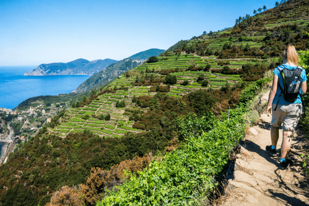 Hiking along the trail to Corniglia Cinque Terre Italy