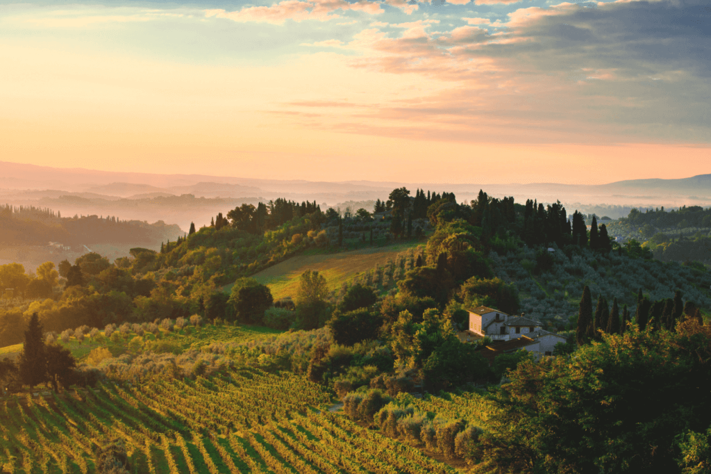 a view of the Tuscan Hills Tuscany Italy