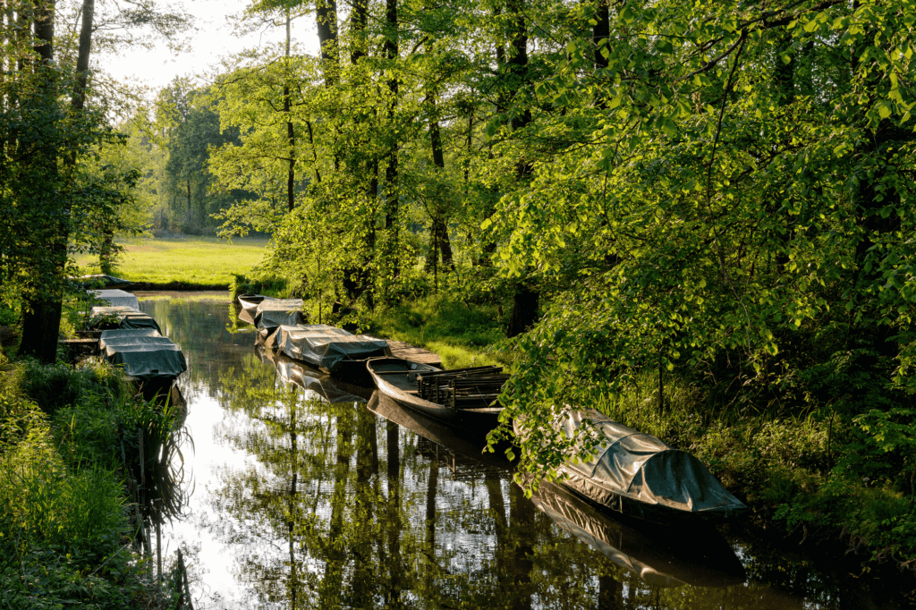 Spreewald Germany