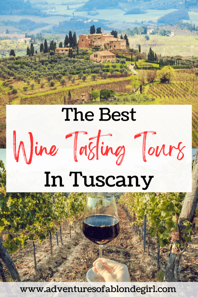 the best wine tasting tours in Tuscany Italy