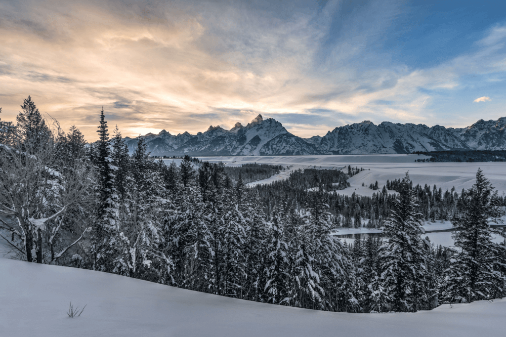 The Wort Hotel Jackson Wyoming